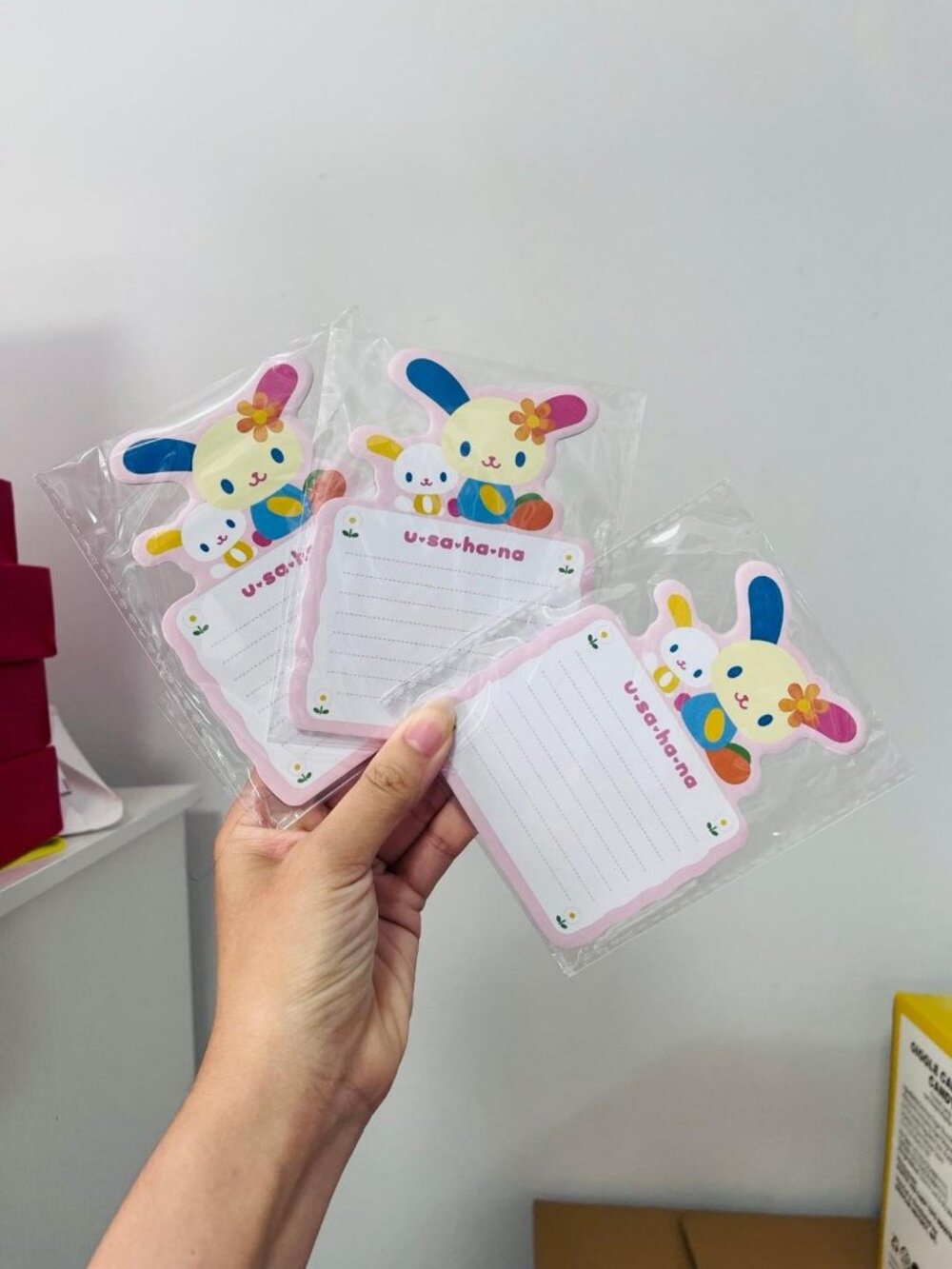 Sanrio 3 pc Usahana note pad